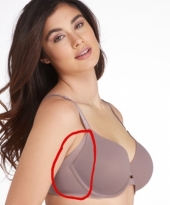 *워너즈 몰드 와이어 브라